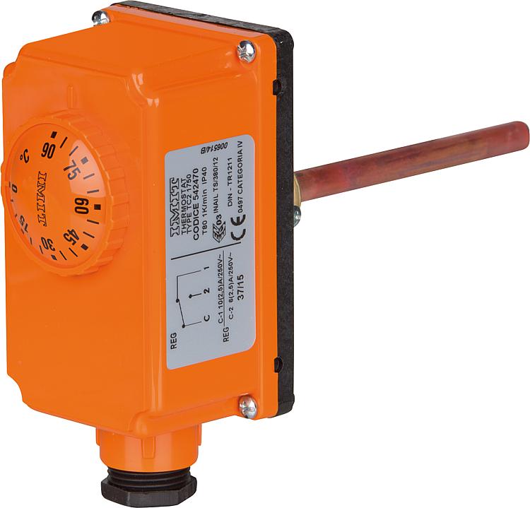 Tauchthermostat